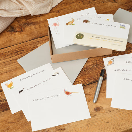 Assorted Notecards, Boxed set of 10