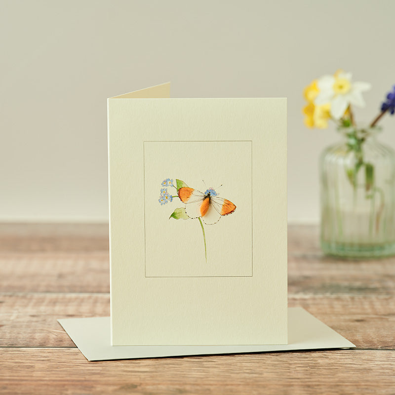 Orange Tip Butterfly greetings card
