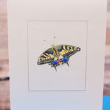 Swallowtail Butterfly greetings card