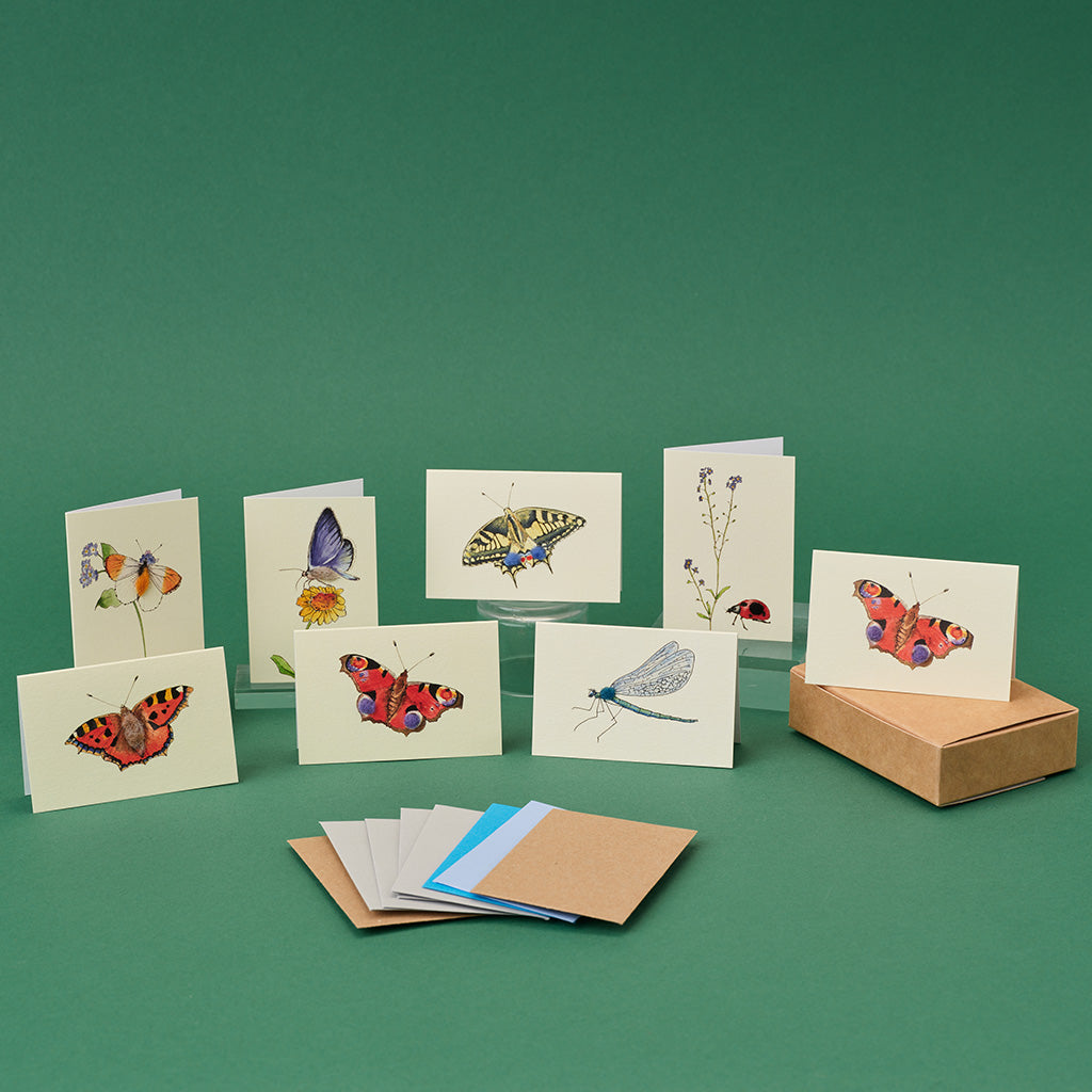 Boxed Collection of Mini Bug cards - 8 cards – Papersheep