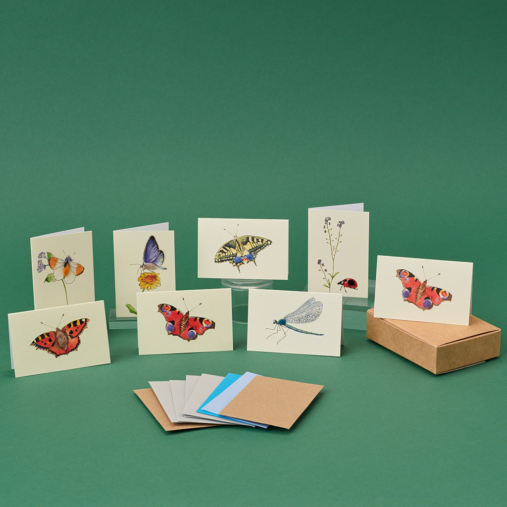 Boxed Collection of Mini Bug cards - 8 cards