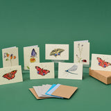 Boxed Collection of Mini Bug cards - 8 cards
