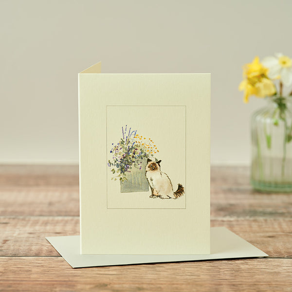 Birman Cat with pot of flowers card