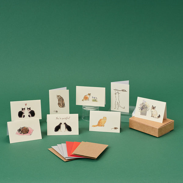 Boxed Collection of Mini Cat cards - 8 cards