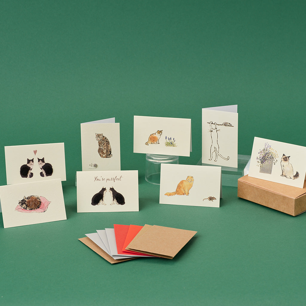 Cat Mini Card Boxed Collection of Mini Cat cards - 8 cards – Papersheep