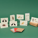 Boxed Collection of Mini Cat cards - 8 cards