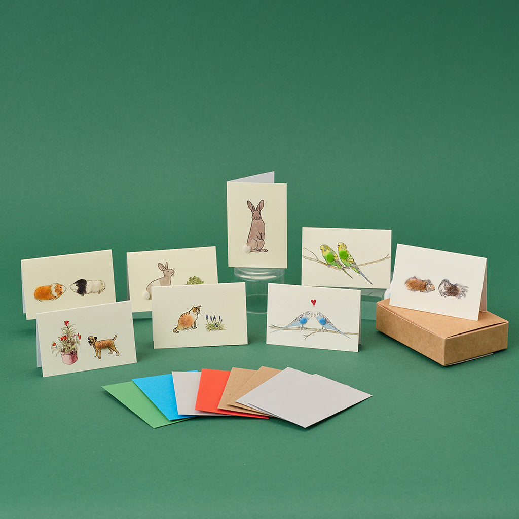 Boxed Collection of Mini Pet cards for Children - 8 cards
