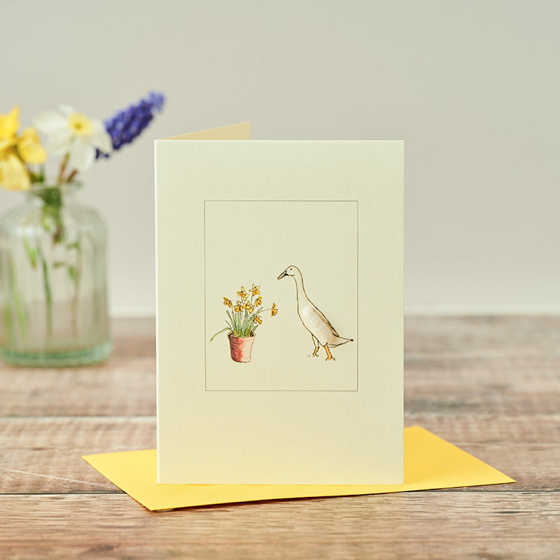 Indian Runner Duck & Daffodils greetings card
