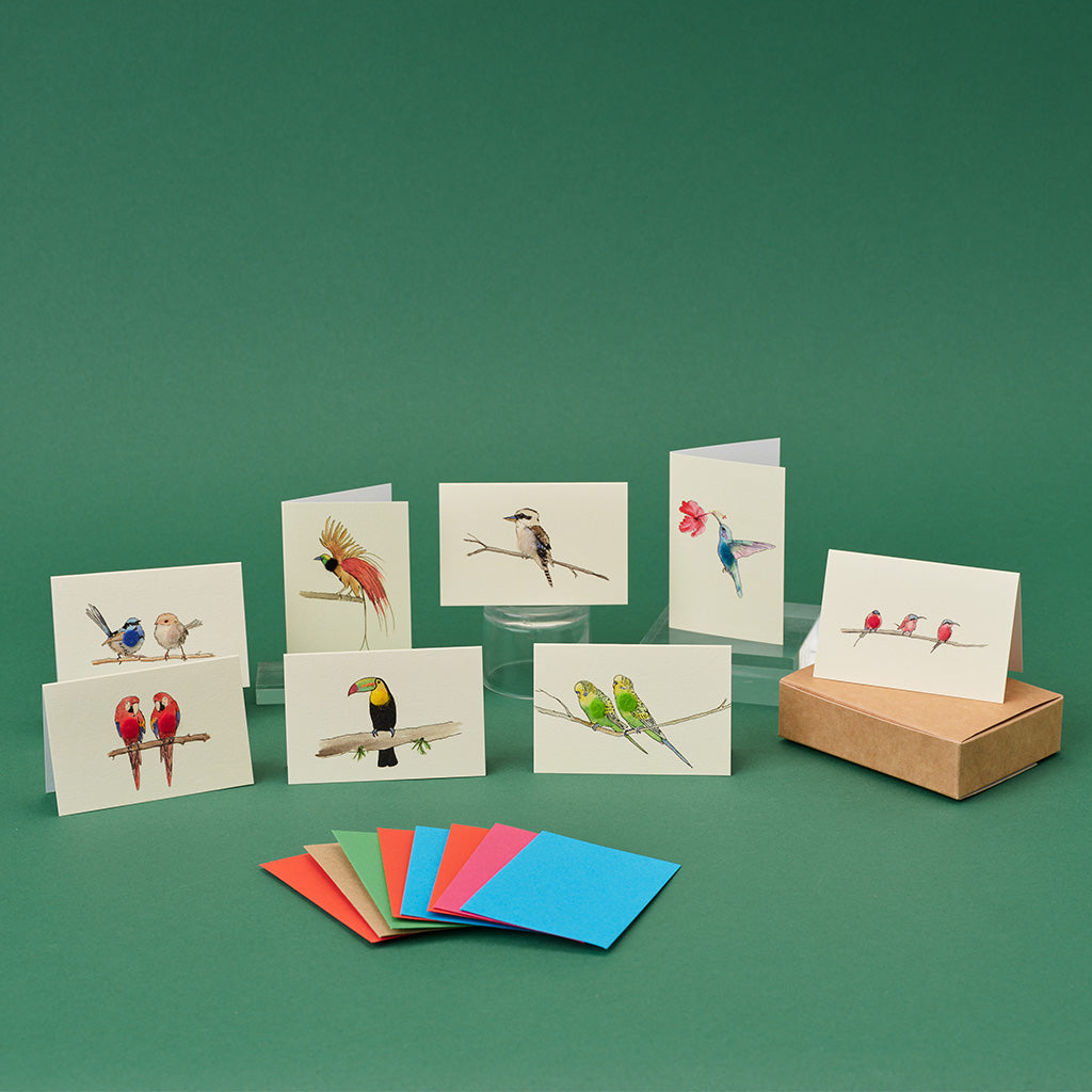Boxed Collection of Mini Exotic Birds cards - 8 cards