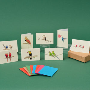 Boxed Collection of Mini Exotic Birds cards - 8 cards