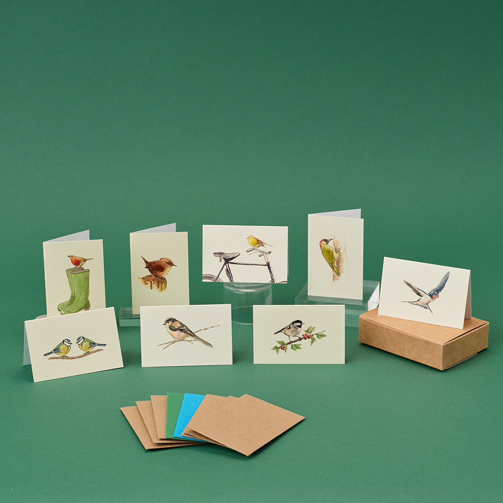 Boxed Collection of Mini Bird Cards - 8 cards