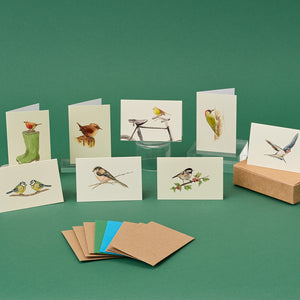 Boxed Collection of Mini Bird Cards - 8 cards