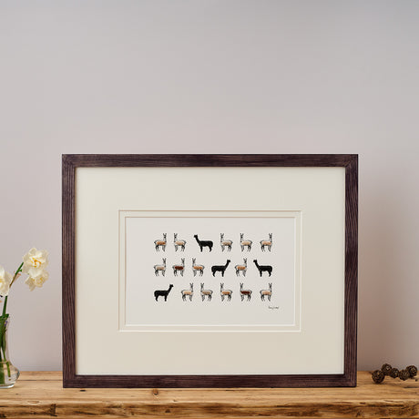Alpacas Limited Edition Print