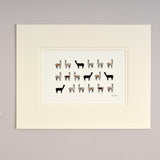 Alpacas Limited Edition Print