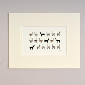 Alpacas Limited Edition Print