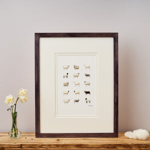 Limited Edition Hand Finished Print of Rare Sheep Breeds