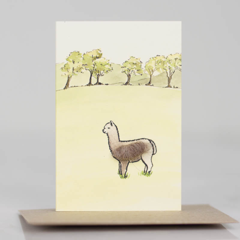 Mini Alpaca in field card