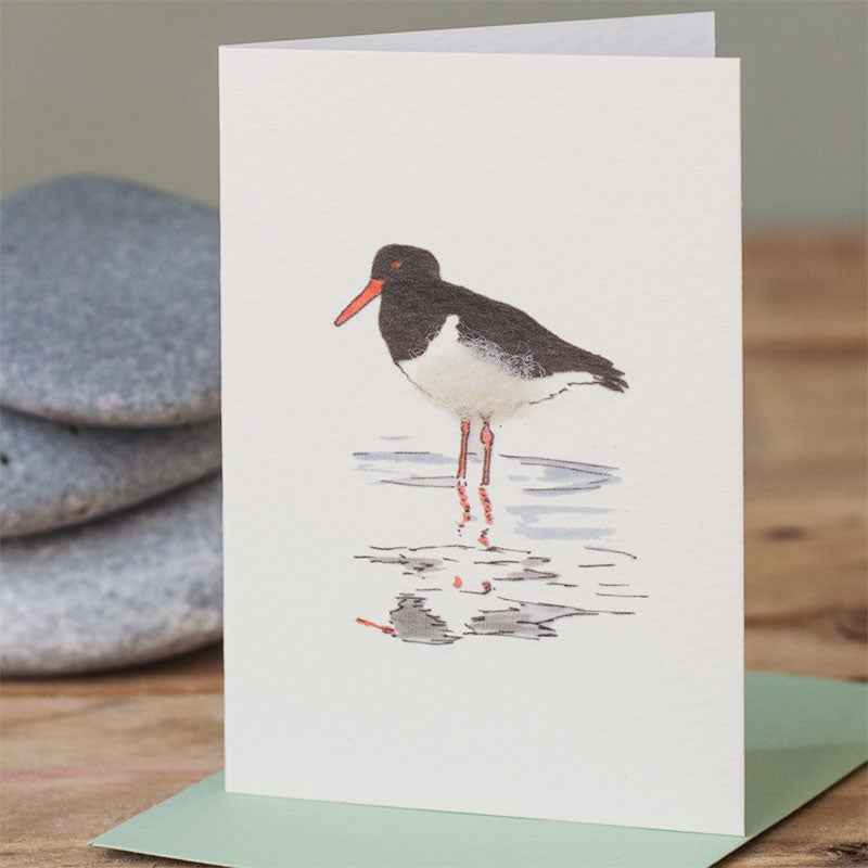 Mini Oyster Catcher card