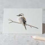 Mini Kookaburra card