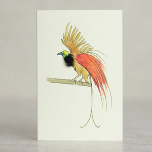 Mini Bird of Paradise card