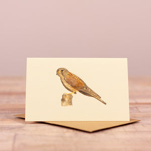 Mini Kestrel card