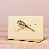 Mini Long Tailed Tit card