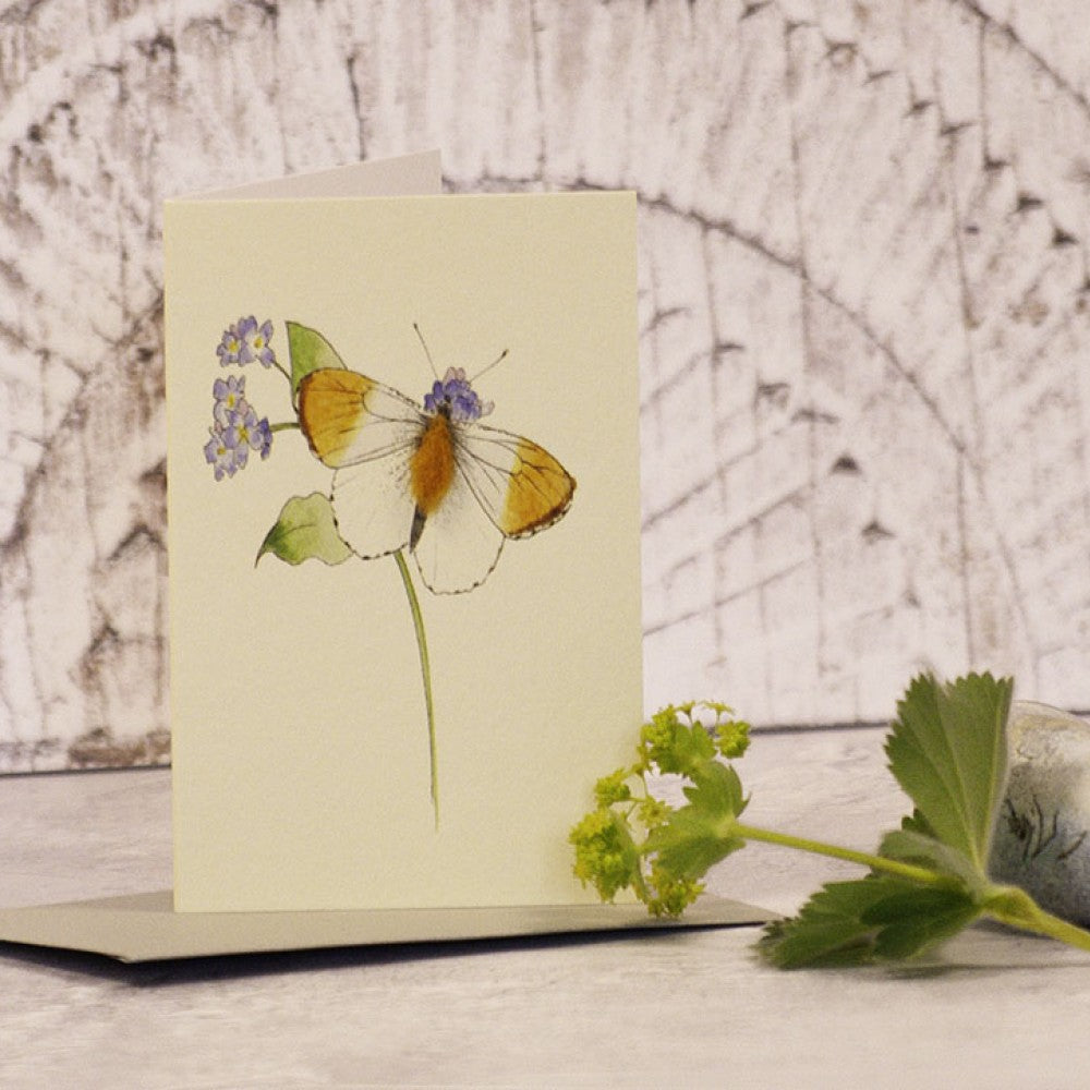 Mini Orange Tipped Butterfly card