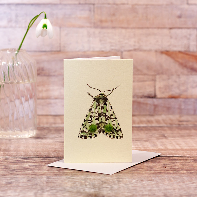 Mini Merveille du Jour Moth card