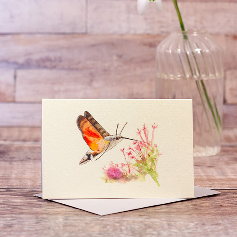 Mini Hummingbird Hawk moth card