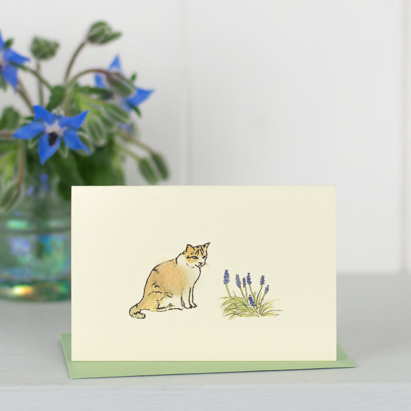 Mini Marmalade Cat card