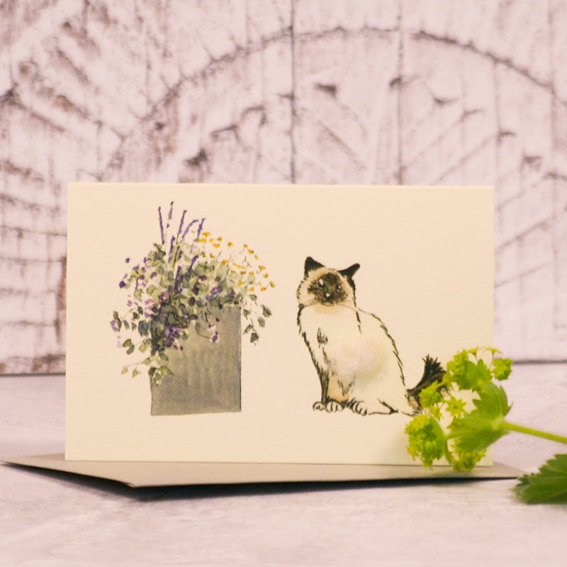 Mini Birman & flowers card