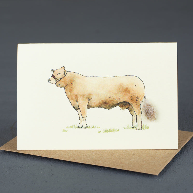 Mini Simmental Bull card