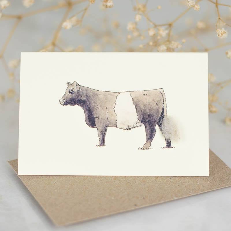 Mini Belted Galloway cow card