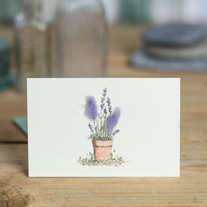 Mini Lavender in pot card