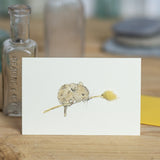 Mini Vole card