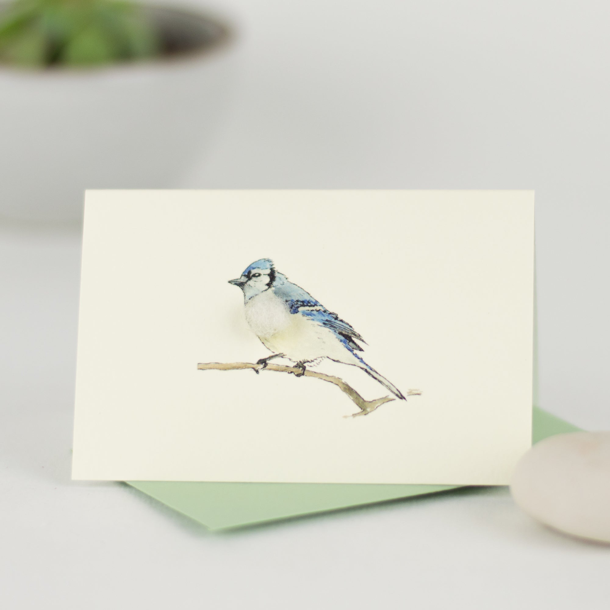 Mini Blue Jay card