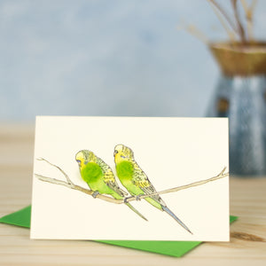 Mini Green Budgerigars card