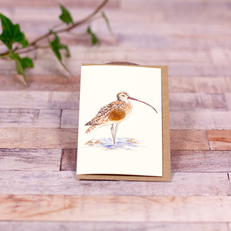 Mini Curlew card