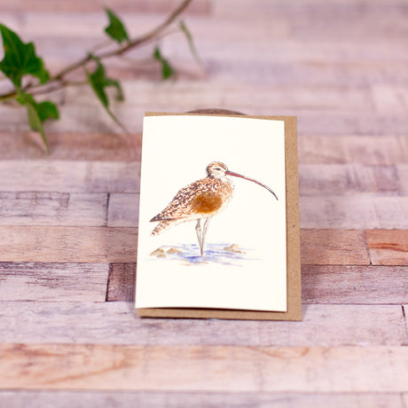 Mini Curlew card