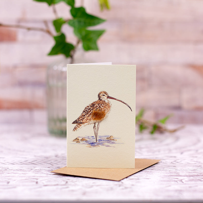 Mini Curlew card