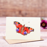 Mini Peacock Butterfly card