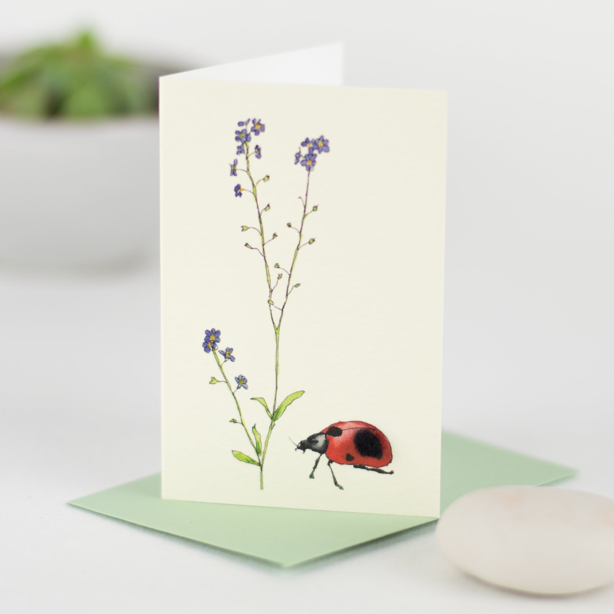 Mini Ladybird card