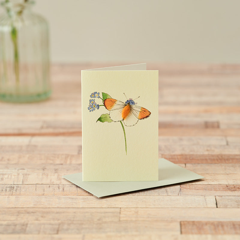 Mini Orange Tipped Butterfly card