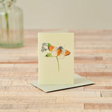 Mini Orange Tipped Butterfly card
