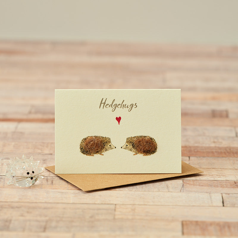 Mini Hedgehugs card