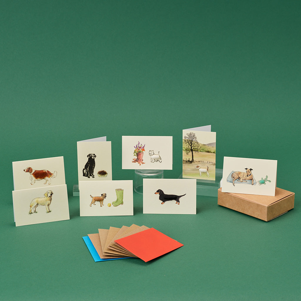 Boxed Collection of mixed dog mini cards - 8 cards