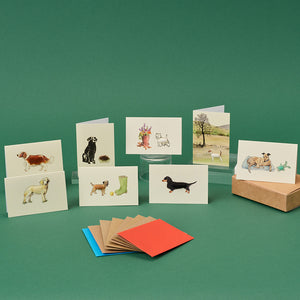 Boxed Collection of mixed dog mini cards - 8 cards