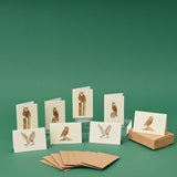 Boxed Collection of mini Owl cards - 8 cards
