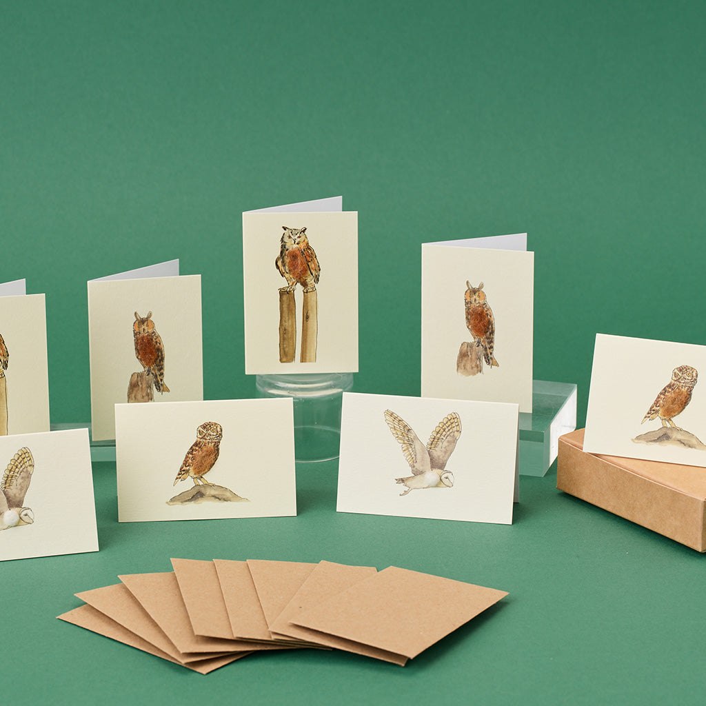 Boxed Collection of mini Owl cards - 8 cards