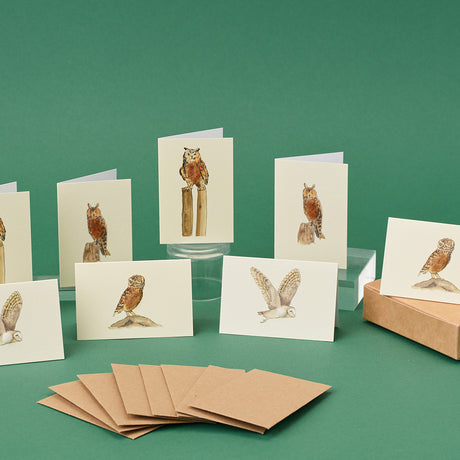 Boxed Collection of mini Owl cards - 8 cards